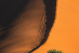Namibia_August (123/135)